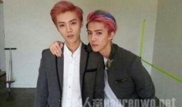 吴世勋深度爆料最新,娱乐圈背后的真实故事